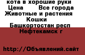 кота в хорошие руки › Цена ­ 0 - Все города Животные и растения » Кошки   . Башкортостан респ.,Нефтекамск г.